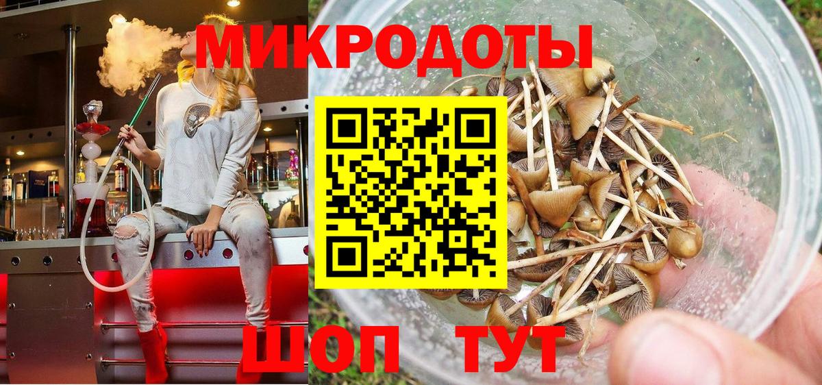 хочу наркоту  Псилоцибиновые грибы Cubensis  Вход с VPN  Тосно 